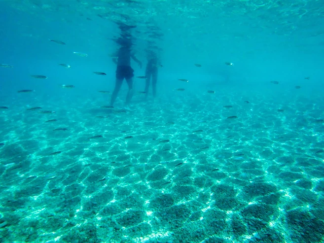 Bol, isla de Brac, cruceros por Croacia