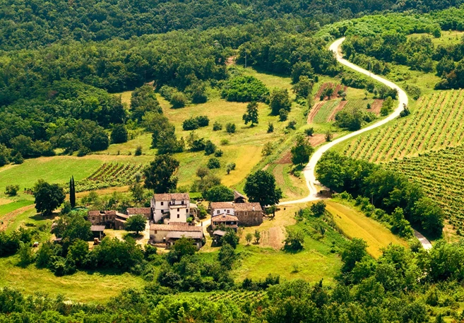 Istria Countryside